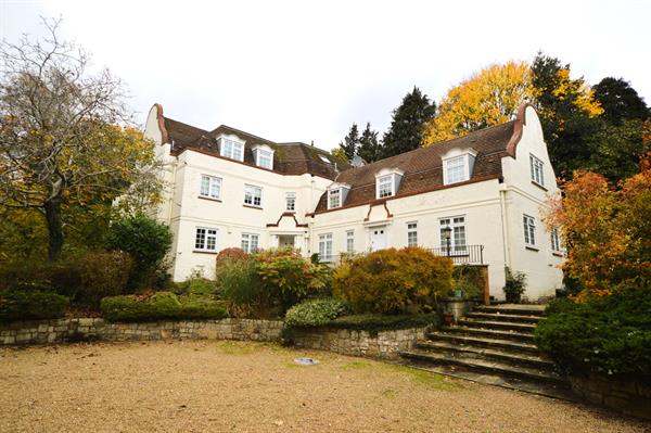 Ivy Drive, Lightwater